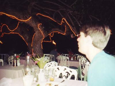 Dinner the Waikiki Beach